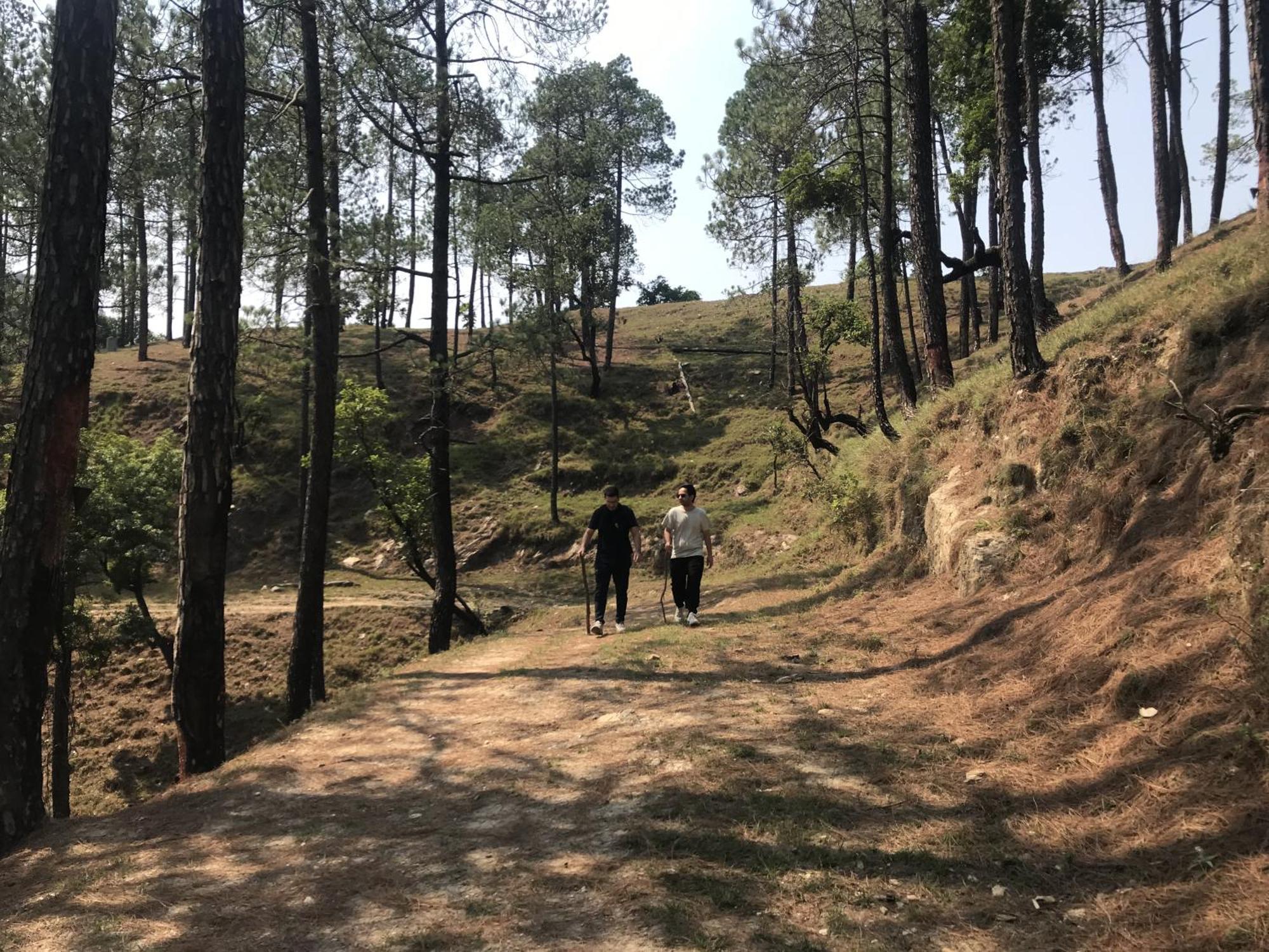 Simba Jungle Lodge, Binsar Wildlife Sanctuary Eksteriør bilde