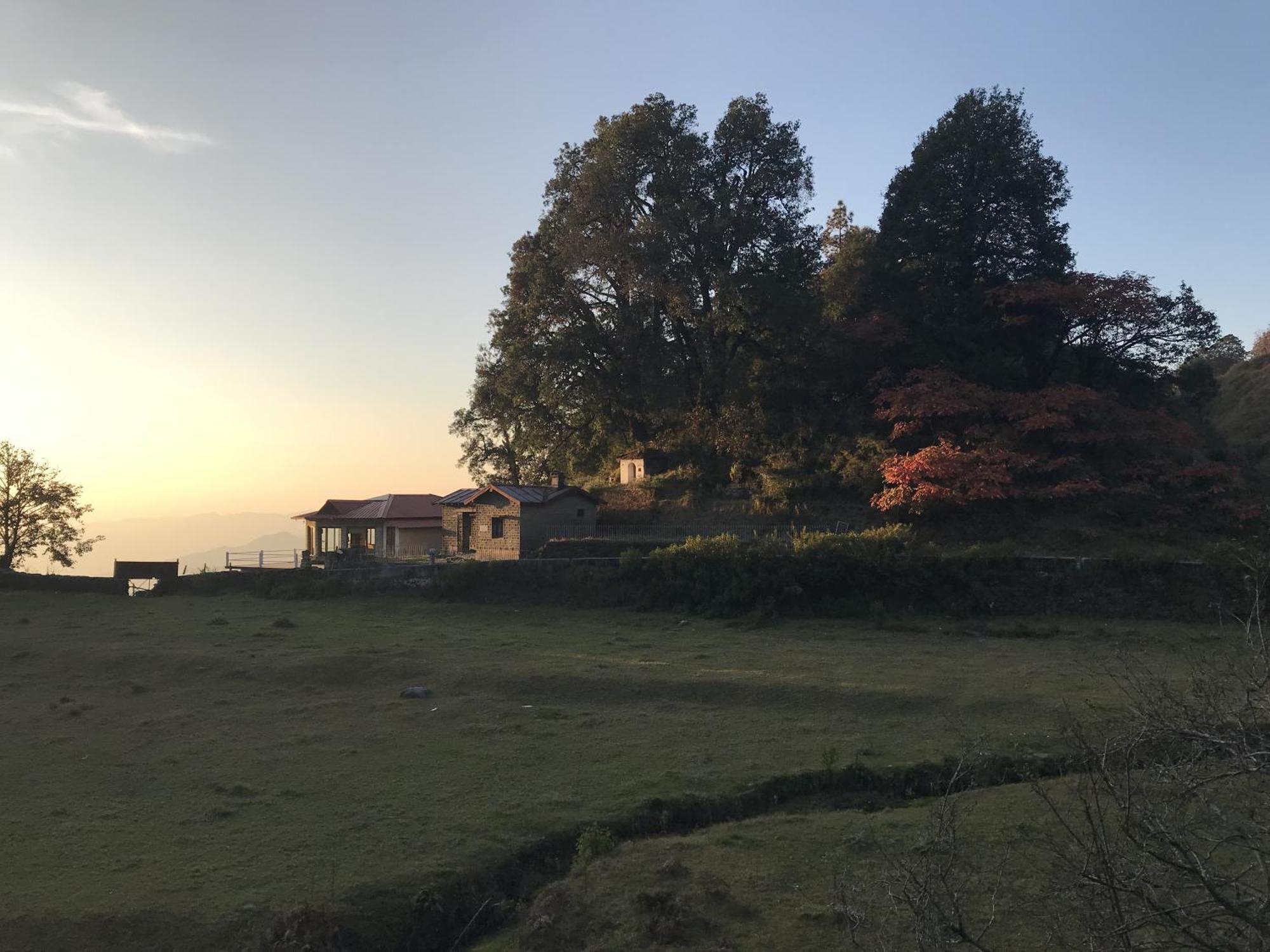 Simba Jungle Lodge, Binsar Wildlife Sanctuary Eksteriør bilde