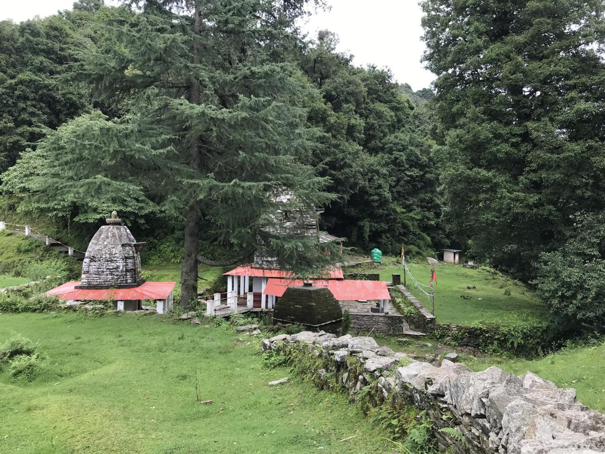 Simba Jungle Lodge, Binsar Wildlife Sanctuary Eksteriør bilde