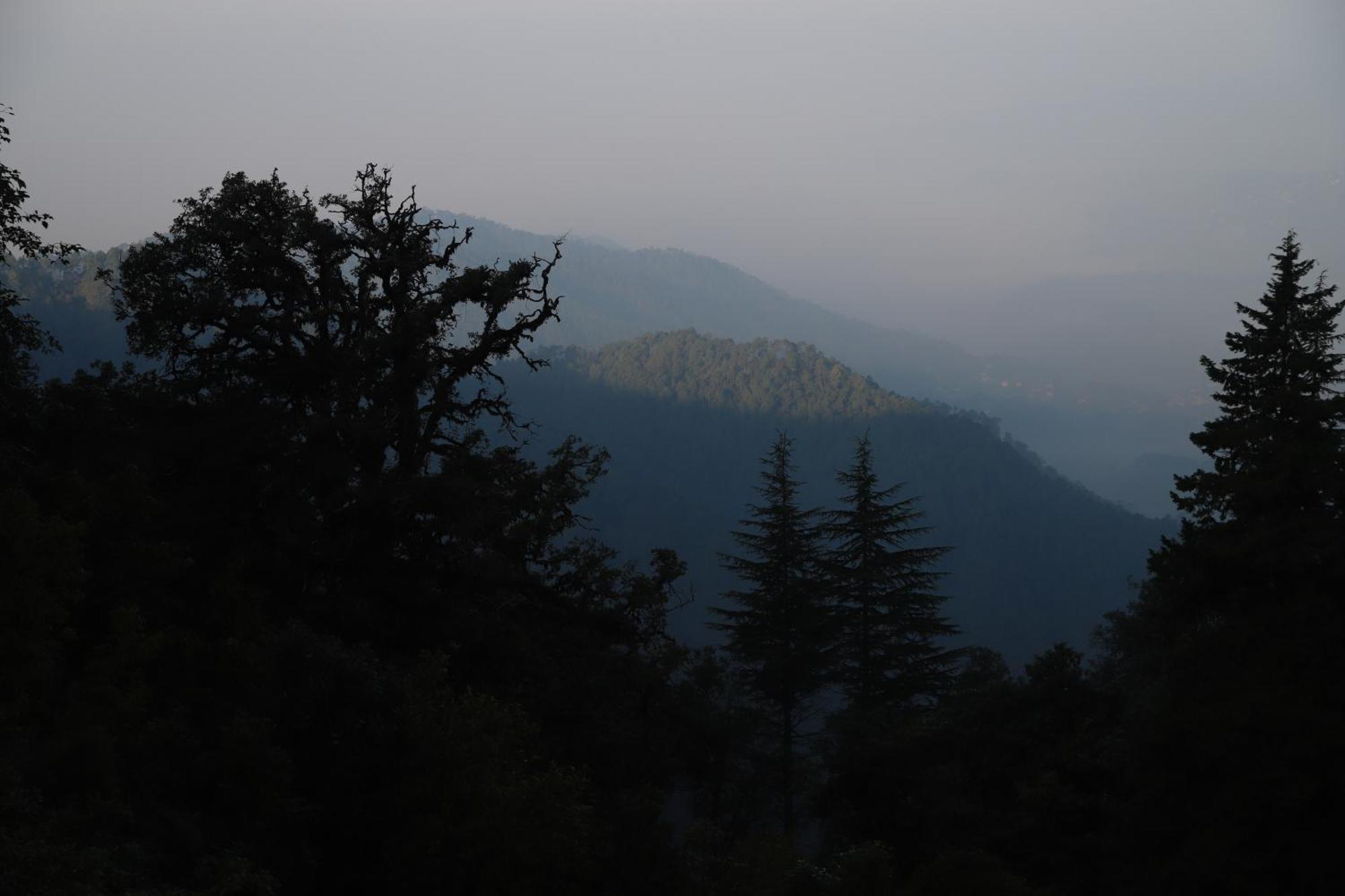 Simba Jungle Lodge, Binsar Wildlife Sanctuary Eksteriør bilde