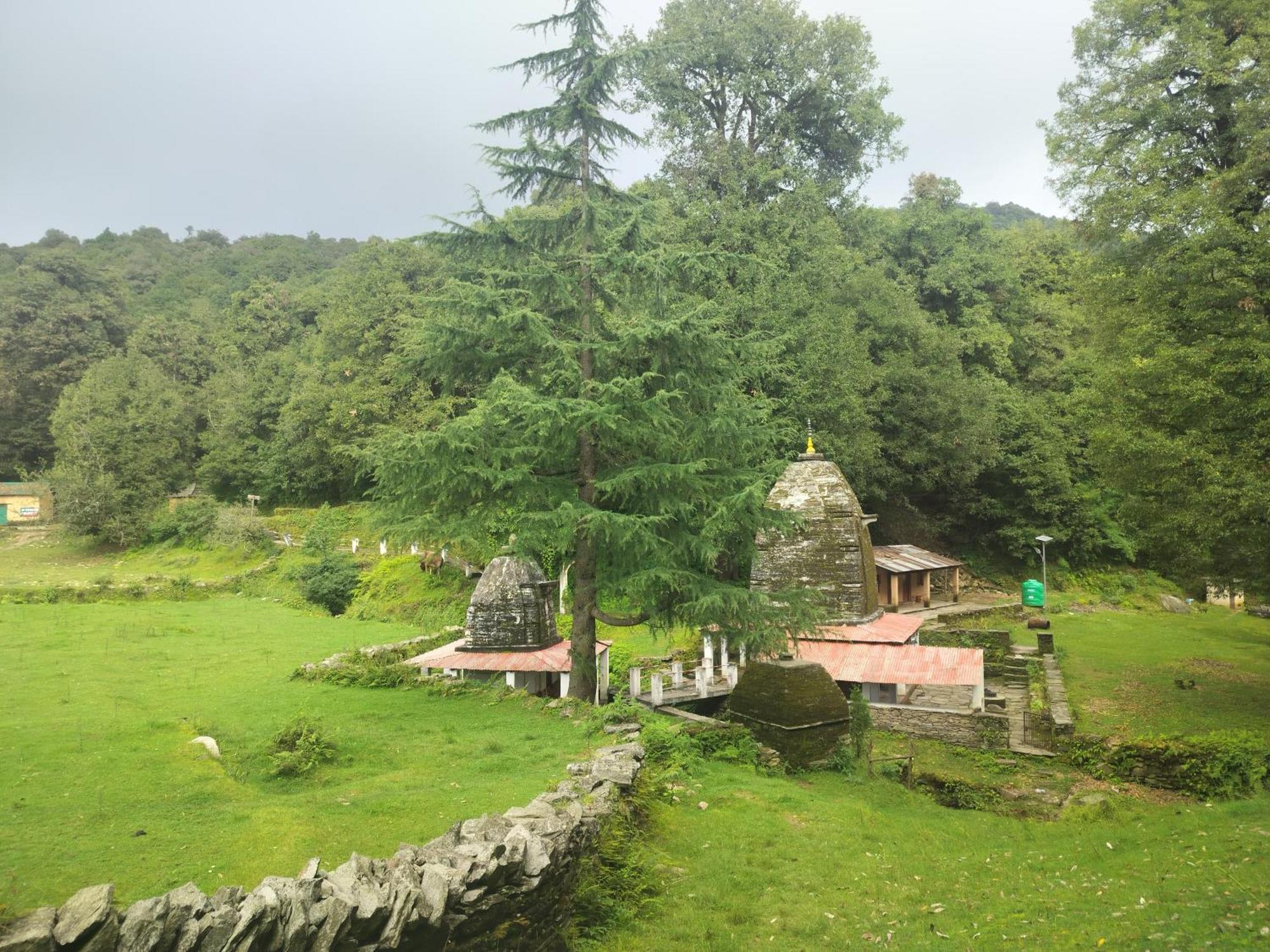 Simba Jungle Lodge, Binsar Wildlife Sanctuary Eksteriør bilde