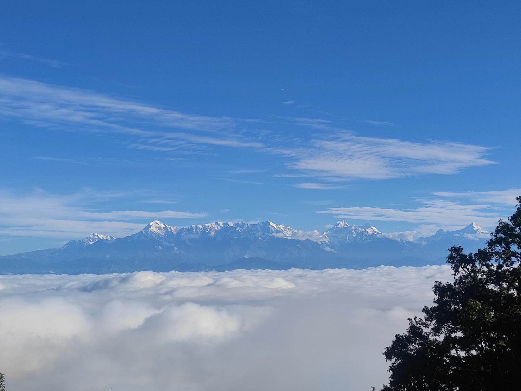 Simba Jungle Lodge, Binsar Wildlife Sanctuary Eksteriør bilde